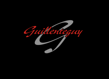 Projet Guillenteguy